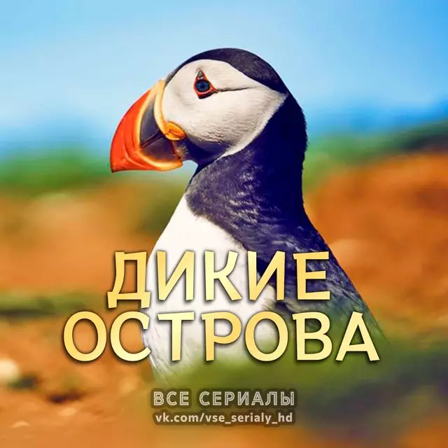 Дикие острова (2023) МИНИ-СЕРИАЛ