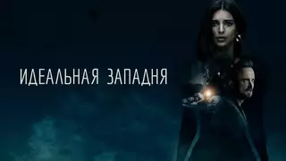 Идеальная западня (2017)