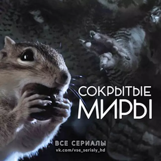 Сокрытые миры (2014) МИНИ-СЕРИАЛ