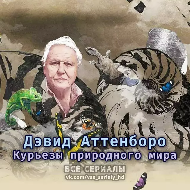 Дэвид Аттенборо. Курьезы природного мира (2013—2017) ВСЕ СЕЗОНЫ